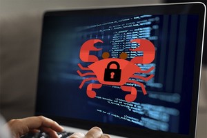 根據Bkav病毒監察系統的統計，我國3900台電腦已被上述惡意代碼感染。（圖源：互聯網）