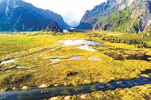 雲龍潭是北部平原最大的濕地自然保護區。