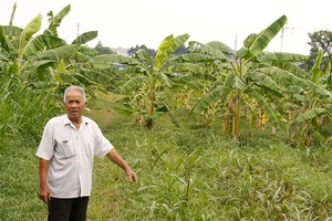 鈴春坊公園規劃擱置了15年，影響居民的權益。