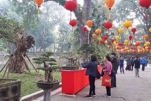 遊客在展區觀賞盆景。（圖源：XC）