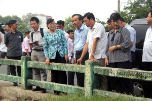 市委副書記、市人民議會主席阮氏決心（前左三）親往平盛郡裴友義橋區域視察川心涌流域的生態環境。（圖源：黎潘）