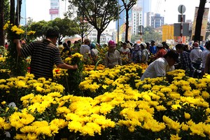 市工商廳：各郡、縣已制定舉辦125個花市與春花會的計劃、方案為市民服務。（示意圖源：互聯網）