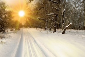 （示意圖源：互聯網）