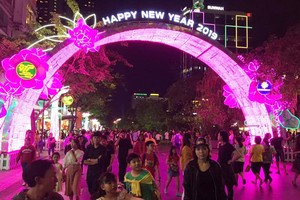 本市阮惠步行街奪目的燈飾。