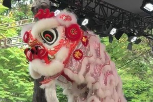 精英堂以“南獅採靈芝”節目奪得“醒獅梅花樁”一等獎。