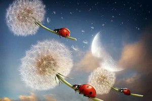 （示意圖源：互聯網）