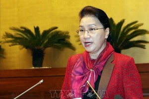 國會主席阮氏金銀在會議上發表講話。（圖源：越通社）