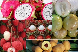 （示意圖源：互聯網）