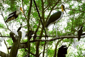 金甌市獨特人工禽鳥公園一瞥。（圖源：金甌報）