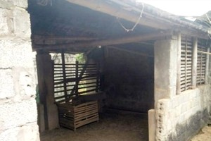 事發現場。（圖源：CTV）