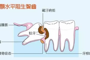 （圖源：互聯網）