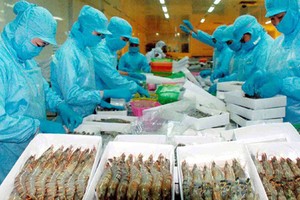 VASEP：2018年蝦類出口額下降8%，只達35.5億美元。