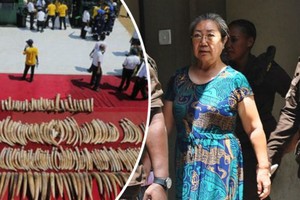 中國女商人也是人稱「象牙女王」的楊鳳蘭（圖右二）19日遭坦桑尼亞當局判處15年有期徒刑。（圖源：AFP）