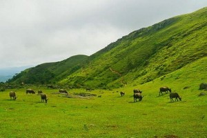 平靜迷人的同高高原。