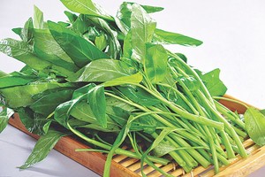 （圖源：互聯網）