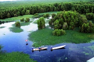 鳥棲國家公園一瞥。（圖源：互聯網）