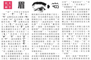 說文解字 『眉』