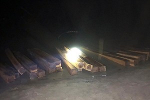 被查獲並扣押的木材。（圖源：青海）