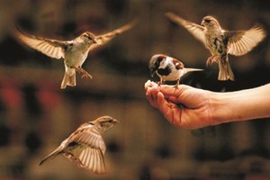 （示意圖源：互聯網）