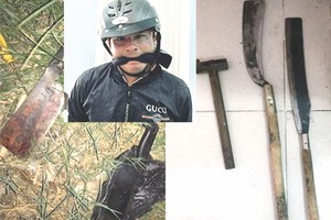 阮黃南被拘捕(小圖)及歹徒行兇的兇器。（圖源：互聯網）