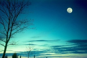 （示意圖源：互聯網）