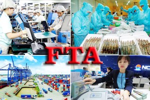 （示意圖源：寡沙）