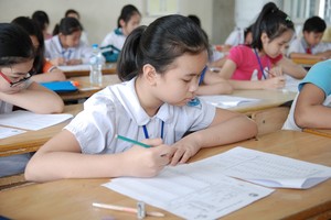 華語小學會考計劃開展