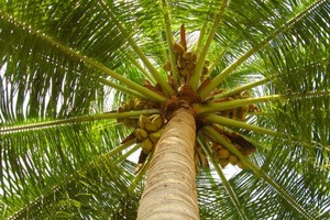 （示意圖源：互聯網）