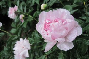 （示意圖源：互聯網）