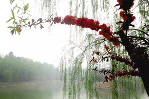 （示意圖源：互聯網）