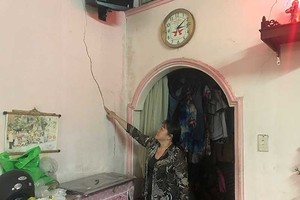 阮氏碧鸞的住房牆壁龜裂和損壞，但仍未獲得鄰居賠償。