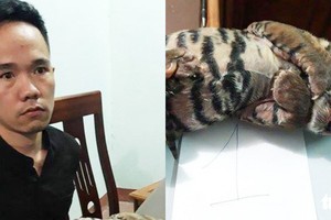 被拘留的嫌疑人盧文俊（左圖）與物證。（圖源：P.Bằng）