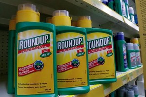 孟山都除草劑致癌第二案，判賠 8100 萬美元。（圖源：互聯網）