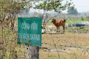 被擱置了十幾年的西貢野生動物園項目。（圖源：互聯網）