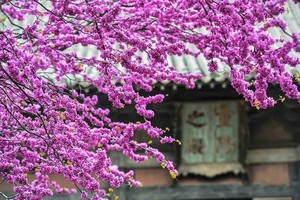 （示意圖源：互聯網）