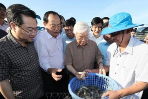總書記、國家主席阮富仲瞭解水產加工過程。（圖源：越通社）