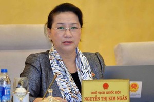 國會主席阮氏金銀在會上發表指導意見。（圖源：越通社）