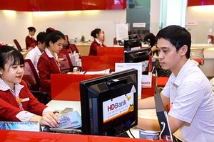 嚴管外幣貸款將不對越盾貸款利率造成影響。