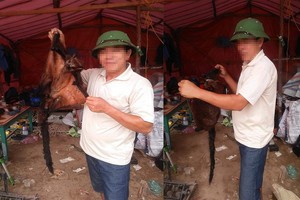 照片中有一名穿白衣、頭戴軍帽的男人站在一帳篷前，兩手提起一頭疑似貂猴動物。（圖源：陽光）