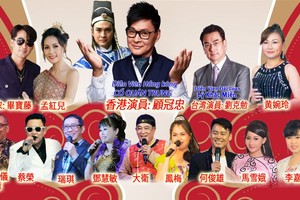 演唱會的國內外歌手。