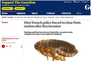 英國《衛報》報導截圖