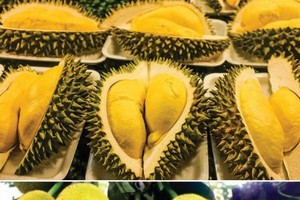 榴槤菠蘿蜜價格高漲。（示意圖源：互聯網）