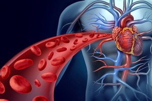 改變７個習慣，防住六成血管病。（示意圖源：互聯網）