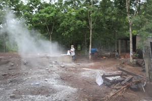 平福省獸醫局人員在同富縣新富鎮新蓮街區的阮德仁養豬場及其周邊進行消毒。（圖源：N.N）