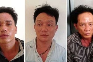 左圖起分別是胡智武、阮功強及張國俊。（圖源：民越）