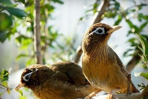 （示意圖源：互聯網）