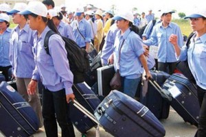 自年初至今，金甌省已有逾70人登記出國有期限工作。（示意圖源：互聯網）