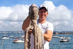 英國德文郡布里克瑟姆33歲的男子喬希‧珀克斯捕到一隻罕見的巨型章魚，觸角展開可達3米。（圖源：互聯網）