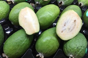 來自新西蘭的番石榴。（圖源：互聯網）