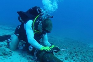 亞太直達海底光纜系統(APG)發生故障。（示意圖源：互聯網）